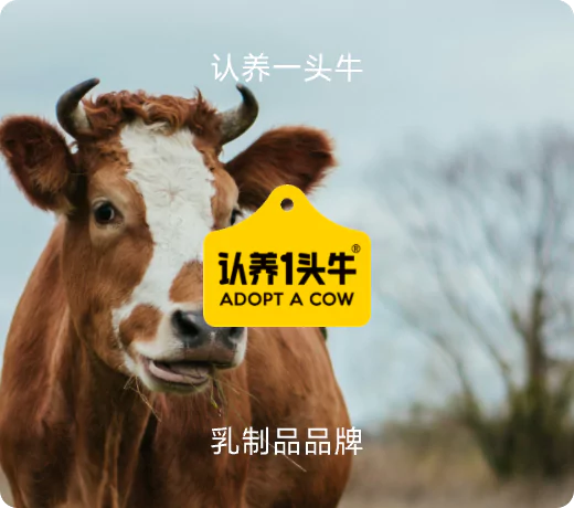 客户品牌