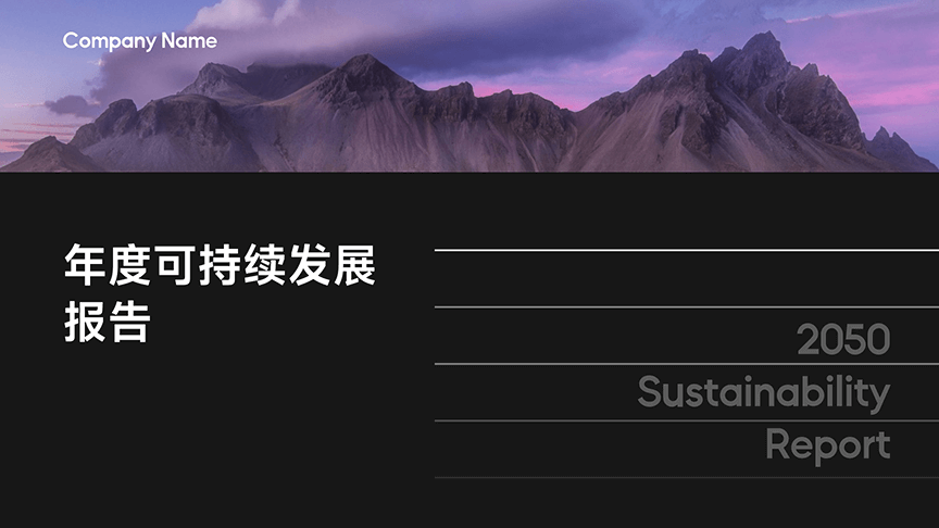 PPT 模板示例